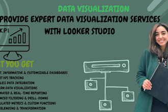 provide expert data visualization services with looker studio