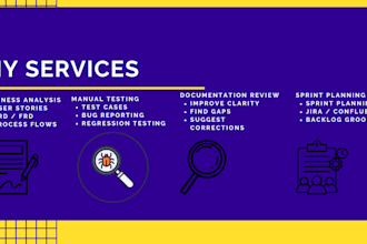 provide manual testing and business analysis services