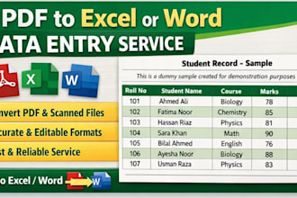 give PDF to excel or word data entry service
