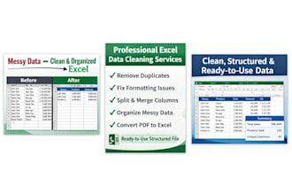 clean, format and organize excel or CSV data professionally