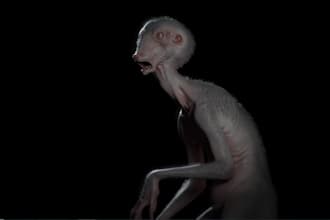 model photoreal 3d monster character, 3d animal, ue5 skeletal rig,3d furry alien
