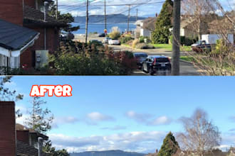 do professional object and wire removal