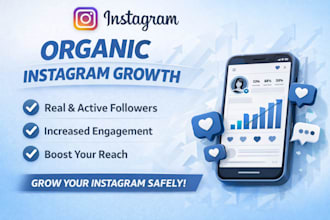 offer organic instagram growth to boost your digital presence