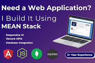 develop a professional web application using mean stack