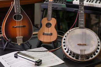 recoed mandolin, ukulele, synthesizers, electric piano, harmonica banjo for song
