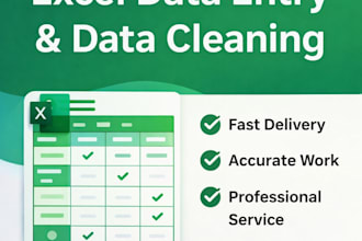 do professional data entry, excel analysis and mis reports