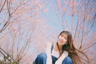sakura photo shooting in hk