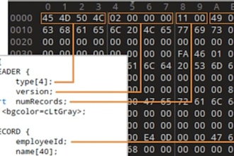 create a binary file parser in python or c