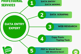 do excel data entry, formatting and simple tasks