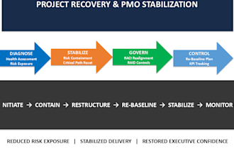 help rescue delayed or struggling projects
