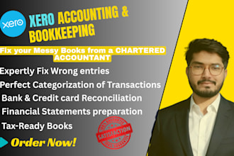 do xero bookkeeping, setup, cleanup and bank reconciliation
