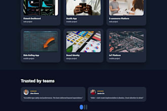 develop custom software solutions , websites