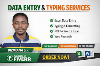 do professional data entry typing and excel work