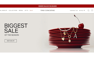 jewelry store fashion jewelry website jewelry shopify store dropshipping store