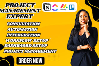 setup notion template monday clickup trello dashboard workflow automation expert