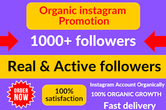 buy 1000 instagram follower very fast