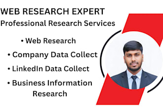 do professional web research and company data collection