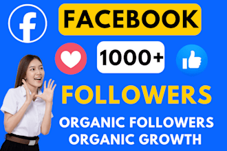 do guaranteed one thousand usa facebook followers instant