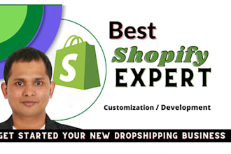 create or customize a professional shopify store