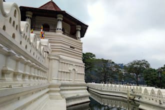 plan your perfect sri lanka trip as a local expert