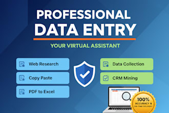 do expert data entry and web research