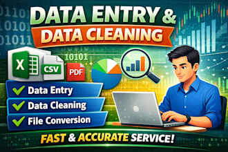 do accurate data entry, data cleaning, and excel data formatting