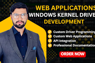 develop a windows kernel driver and web applications