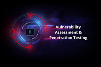 do professional web app penetration testing and vapt with report