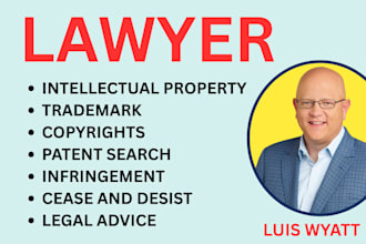 be intellectual property, trademark, patent and copyright infringement lawyer