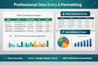 do fast and accurate data entry in excel google sheets and word