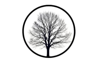 correct your english for clarity and natural flow