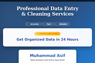 do professional excel data entry, financial reporting, and dashboard