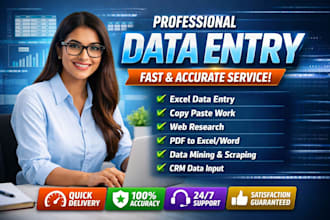 excel data entry, copy paste and website data entry tasks