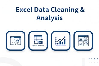 clean and format excel data with dashboards and pivot tables