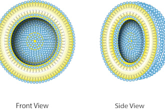 create scientific illustrations, graphical abstracts