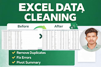 clean, organize excel data and build pivot analysis