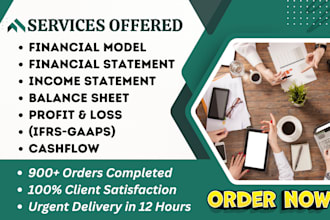 prepare excel financial model, income statement, balance sheet, profit and loss