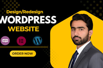 design, redesign ,clone wordpress website  elementor pro expert
