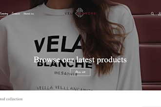 turn your shopify webstore vission to converting shop