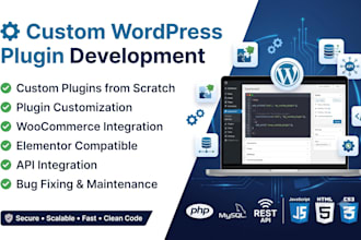create modify custom wordpress plugin for business websites
