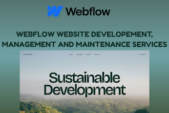 webflow website, website development, management, maintenance services