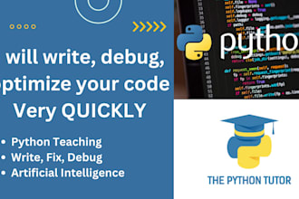 provide expert python programming and code debugging quickly