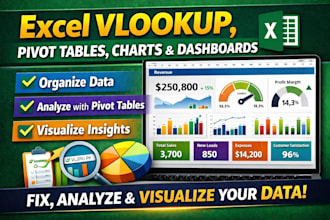 do excel vlookup, pivot tables, charts, graphs and interactive dashboards