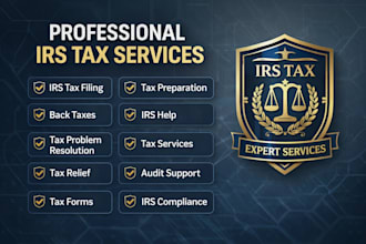 handle irs tax filing, back taxes, and irs problem resolution