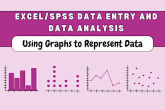 do acurate spss, excel data entry and data presentation