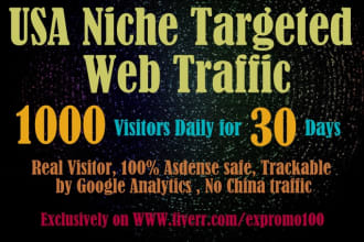 drive usa niche targeted,website,traffic,visitors