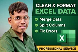 clean and format excel data professionally
