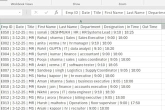 do excel data cleaning, data analysis, and data visualization, PDF to excel