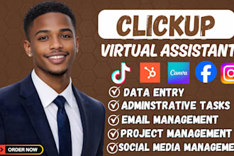 be your executive virtual assistant, clickup, asana, canva for daily tasks