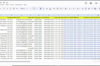 provide 1000 verified leads from linkedin and google maps